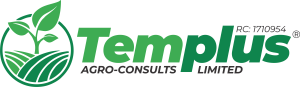 Templus-1-300x87